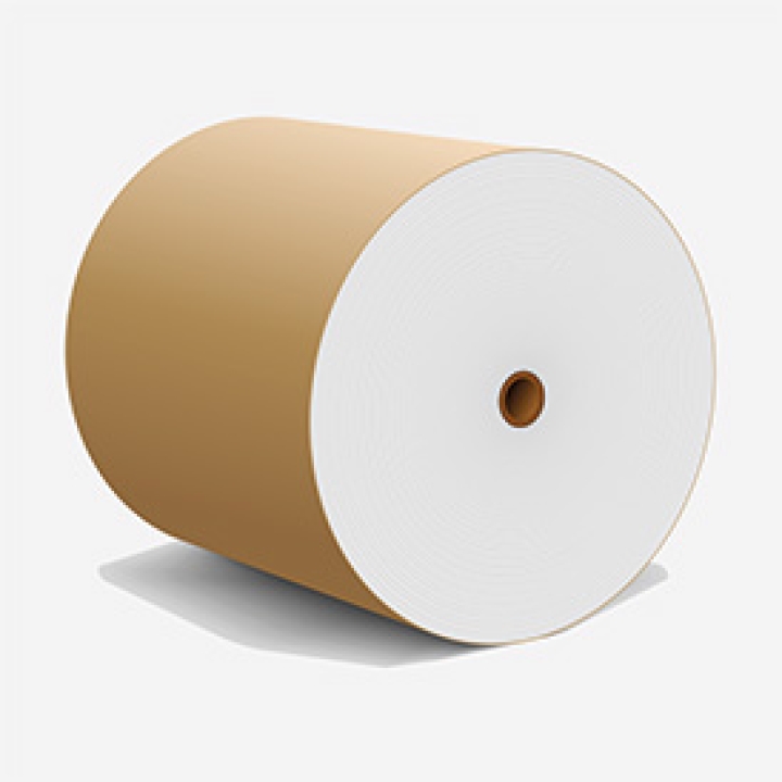 Cuộn nguyên liệu